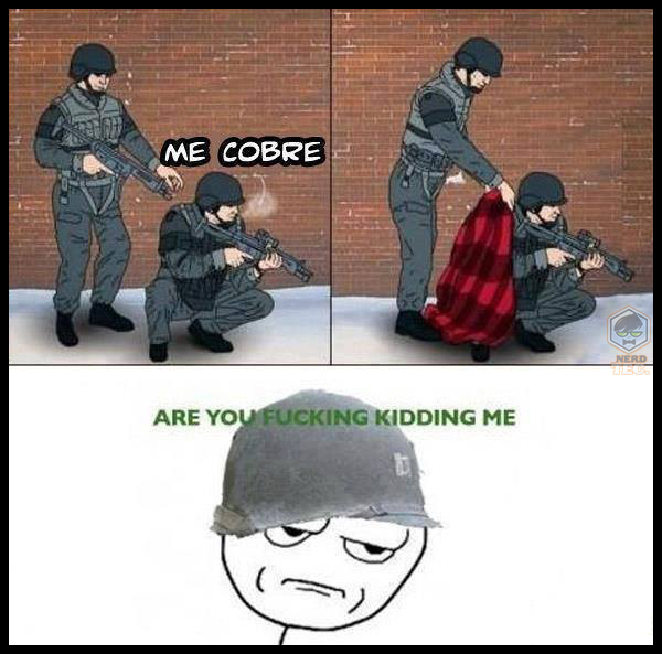 1231655_392227790900103_376484466_n