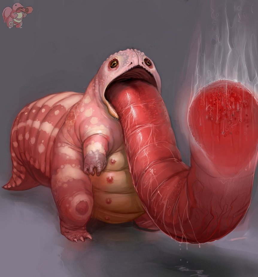 pokemon1111