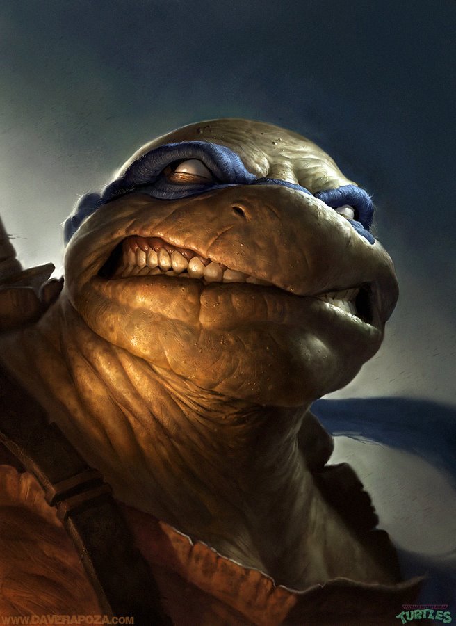 tartarugas1