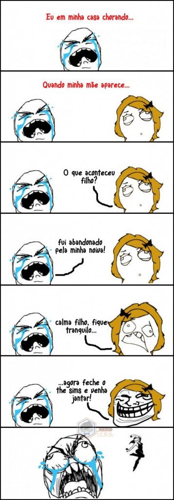 fecheothesims