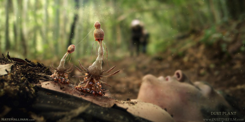 NateHallinan_DustPlant