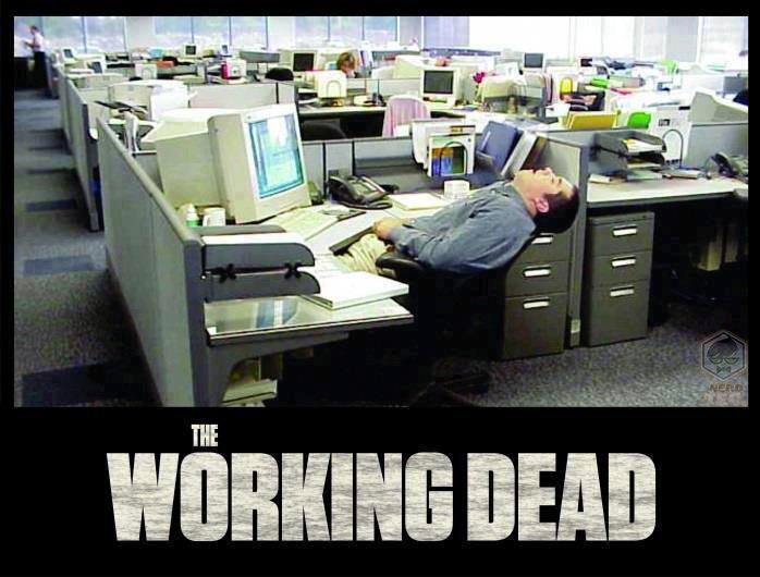 THE WORKING DEAD