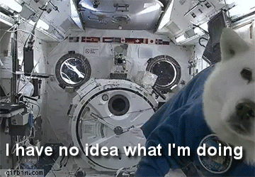 dog-in-space
