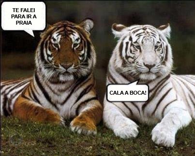 te-falei-para-ir-a-praia