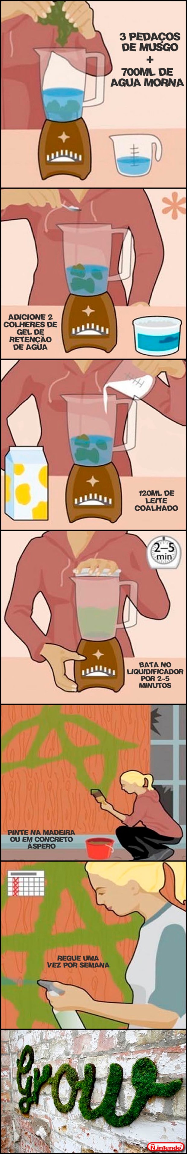 Musgo