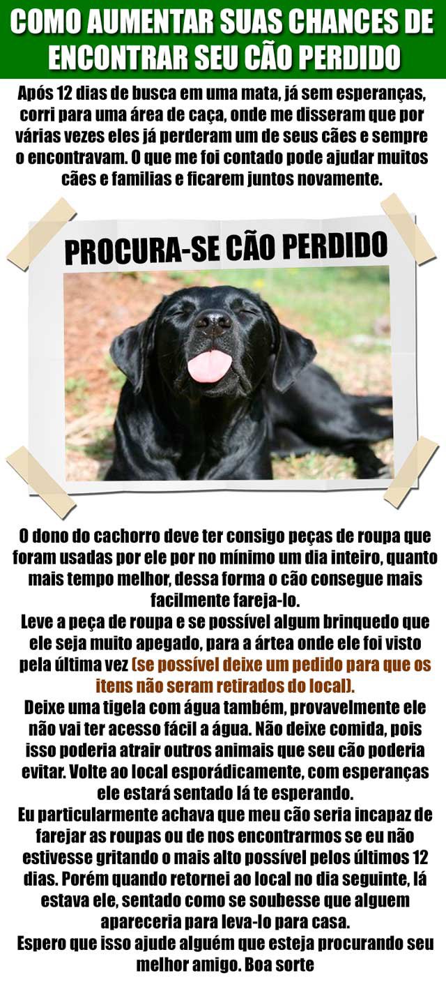 caozinho1