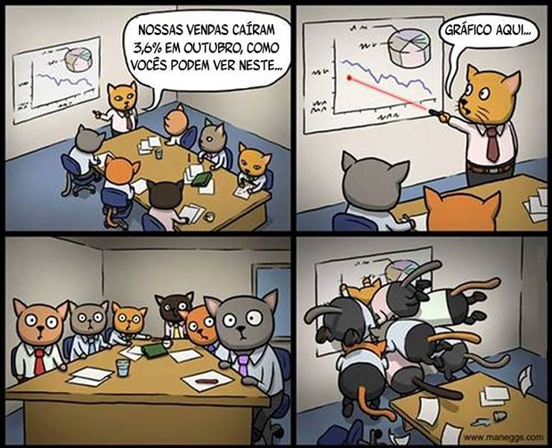 gatos