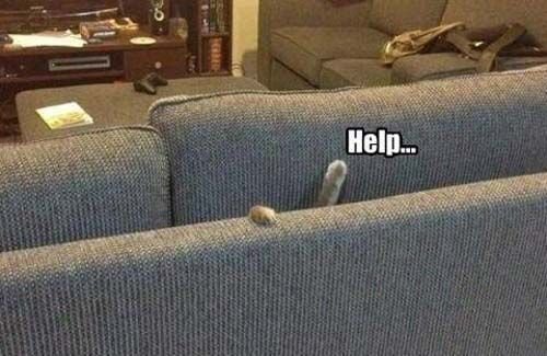 help