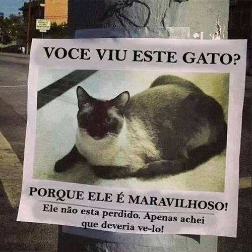 catu